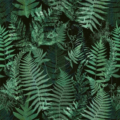 Padrão de folhas verdes de samambaias em fundo escuro