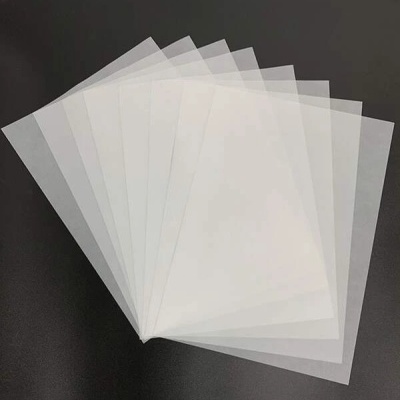 Folhas transparentes dispostas em leque sobre fundo preto