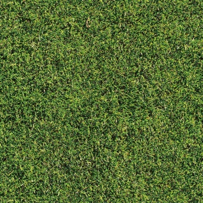 Relva verde densa e aparada