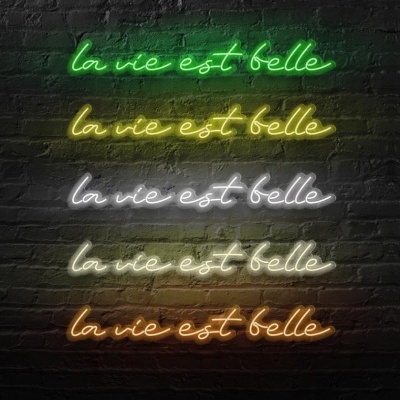 Letreiros de néon coloridos com o texto 'la vie est belle' numa parede de tijolos pretos