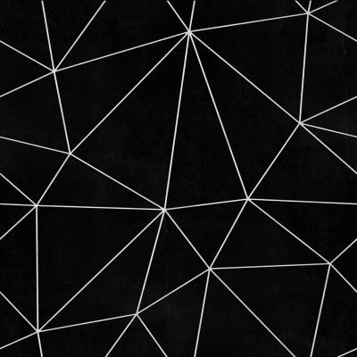 Padrão geométrico preto com linhas brancas formando triângulos e polígonos