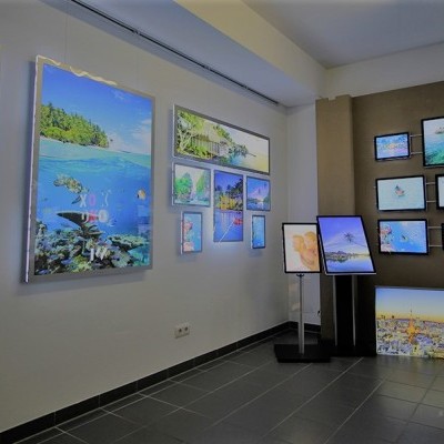 Sala expositora com quadros de paisagens tropicais e marítimas em diferentes molduras