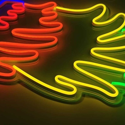 Neon colorido em forma de pomba sobre fundo escuro