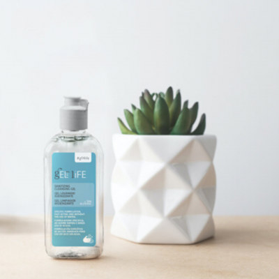 Frasco de gel desinfetante ao lado de vaso com suculenta