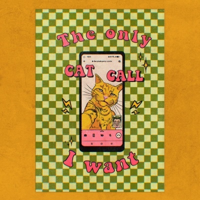 Imagem digital com smartphone e gato laranja em videochamada com texto em fundo quadriculado.