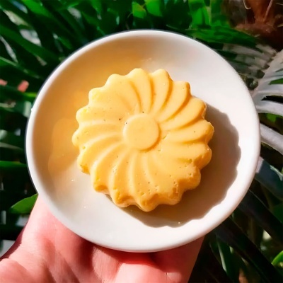 Sabonete amarelo claro com padrão em espiral numa tigela branca, mão a segurar, plantas verdes ao fundo