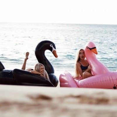 Colchões insufláveis em forma de cisne preto e rosa na praia junto ao mar com duas mulheres