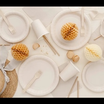 Pratos e copos descartáveis brancos com decoração em esferas de papel honeycomb e chapéu de palha.