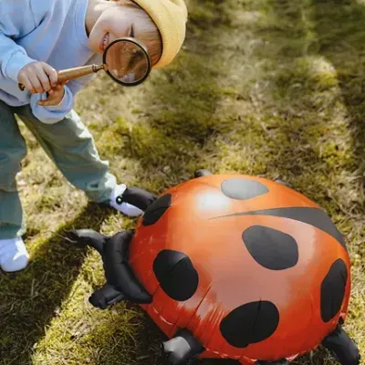 Criança a observar brinquedo inflável de joaninha com lupa