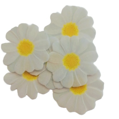 Cinco flores artificiais brancas com centros amarelos sobre fundo branco