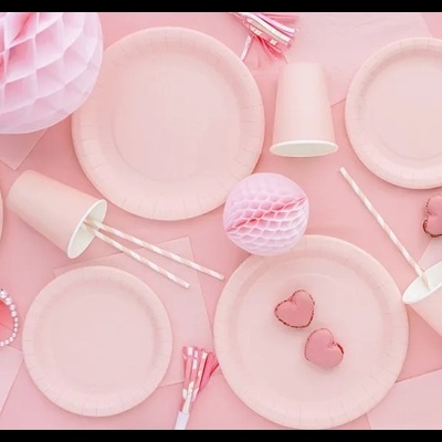 Artigos de festa descartáveis e decoração em tons de rosa