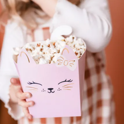 Criança a segurar caixa rosa de pipocas em forma de gato com rosto desenhado