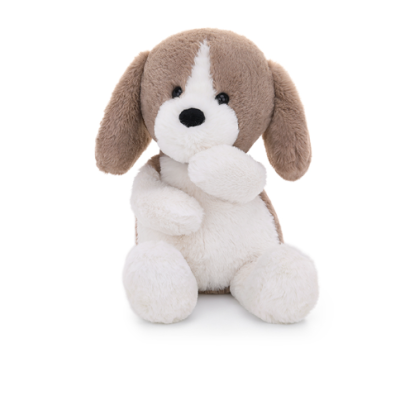 Pelúcia de cão castanho e branco sobre fundo branco