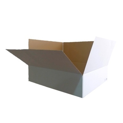 Caixa de cartão aberta branca e castanha sobre fundo branco