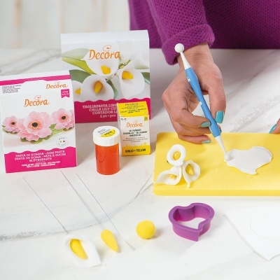 Materiais para modelagem de açúcar Decora com pigmentos e ferramentas em superfície branca