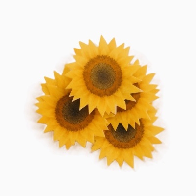 Três flores artificiais de girassol em fundo branco