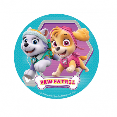 Imagem redonda com dois cães personagens de desenho animado da Paw Patrol e logo colorido