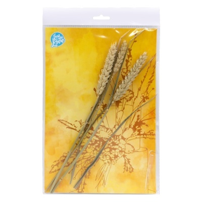 Pacote com três caules artificiais de trigo seco em fundo amarelo com flores