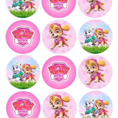 Círculos com personagens Skye e Everest de PAW Patrol e logótipo PAW PATROL