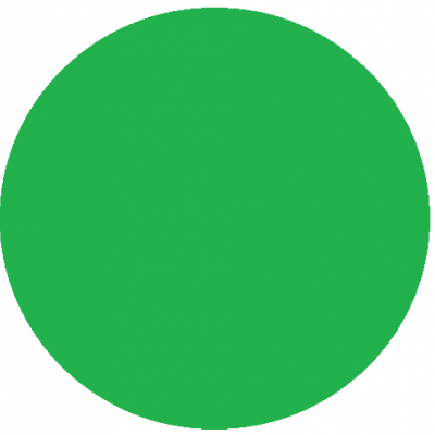 Círculo verde sólido