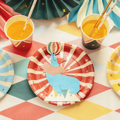 Pratos e copos de papel com padrão de lhama e riscas coloridas para festa