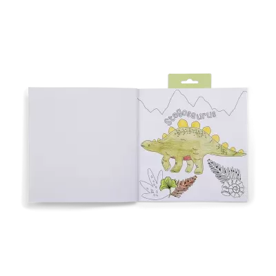 Livro aberto com desenho de dinossauro Stegosaurus colorido.