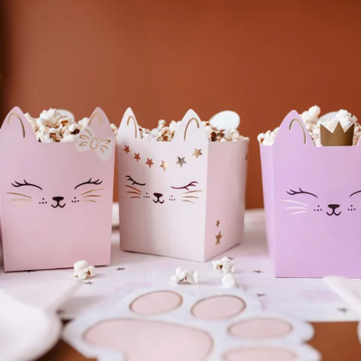 Caixas de pipocas decorativas com rostos de gato cor-de-rosa e lilás