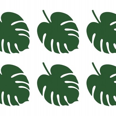 Seis folhas verdes de monstera em fundo branco