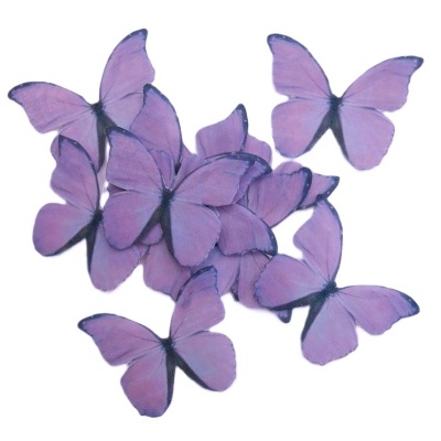 Borboletas decorativas cor de rosa em fundo branco