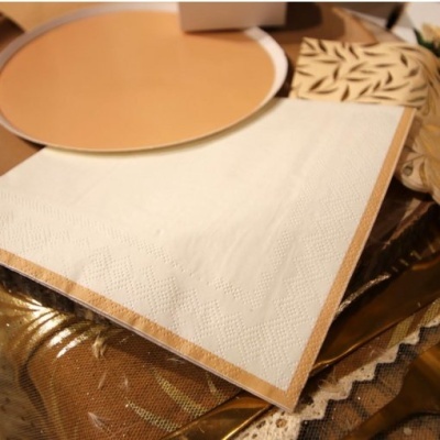 Guardanapo branco com barra castanha e prato castanho claro em tecido decorativo