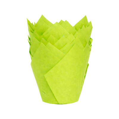 Cápsula de papel verde para muffins ou cupcakes