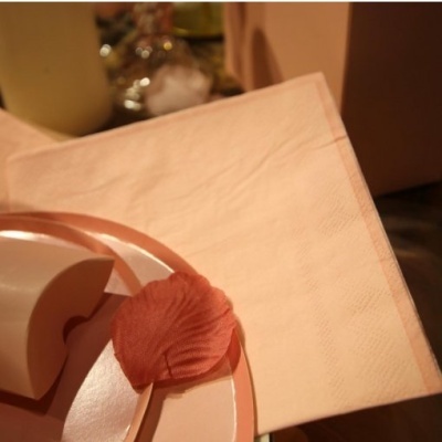 Guardanapo de tecido rosa claro sobre mesa com prato rosa e decoração de pétalas