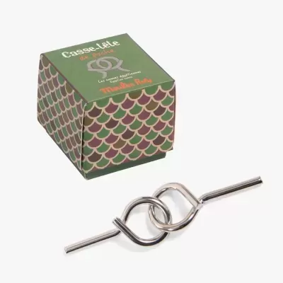Quebra-cabeças de bolso em metal com caixa verde de padrão escamas