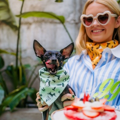Bandana Malü Pet Wear x Grupo Nicolau