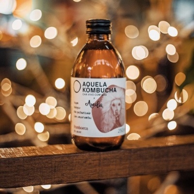 Kombucha Amélia