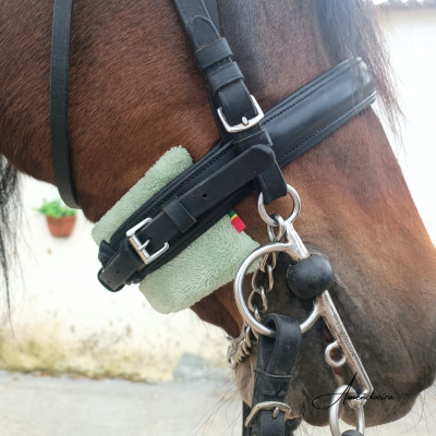 Cabeça de cavalo com embocadura preta e protetor verde claro no focinho