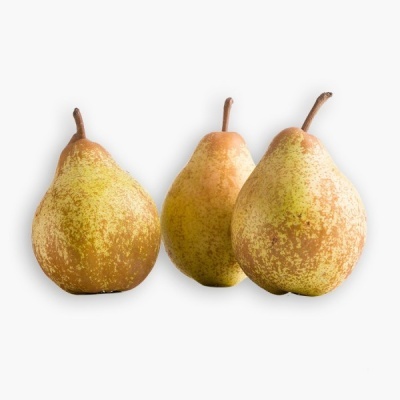 Três peras amarelo-verdes com manchas castanhas num fundo branco.