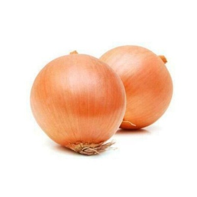 Duas cebolas castanhas claras em fundo branco