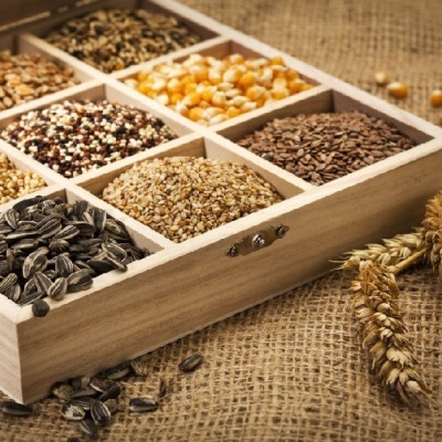 Caixa de madeira com sementes variadas organizadas em nove compartimentos sobre tecido de juta com espigas de trigo ao lado