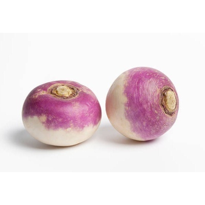 Dois nabos redondos roxos e brancos sobre fundo branco.