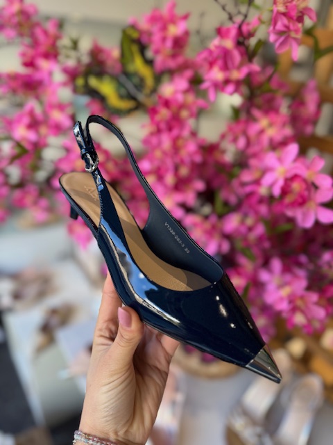 Sapatos ABF-97 V1339-263-3 Blue Sapato verniz preto bico fino metálico com tira de fecho e fundo de flores cor-de-rosa