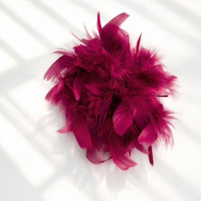 Penas vermelhas escuras sobre fundo branco com sombras lineares