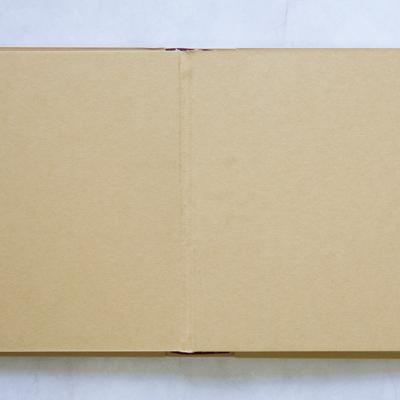 Álbum aberto com capa dura castanha clara e textura lisa sobre fundo branco