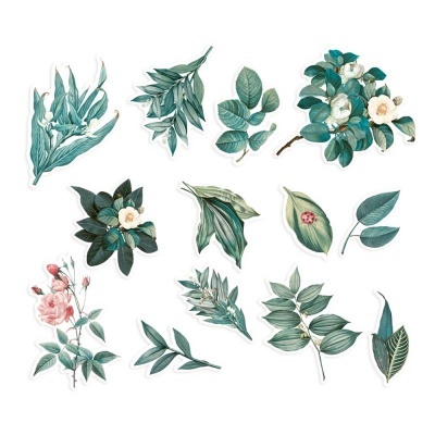 Ilustrações de folhas verdes e flores brancas e rosas em fundo branco