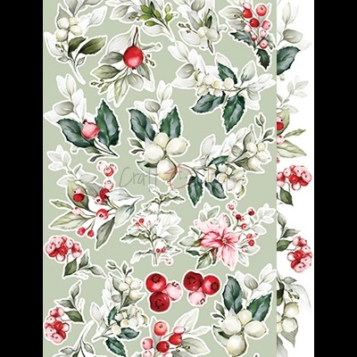 Ilustrações de plantas com bagas vermelhas e brancas e folhas verdes, fundo cinza esverdeado.