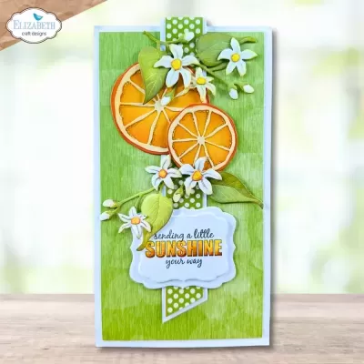 Cartão decorativo verde com flores, folhas e fatias de laranja artificiais e texto 'sending a little SUNSHINE your way'