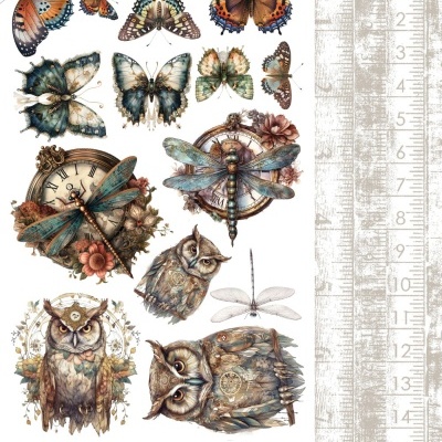 Adesivos de borboletas, libélulas e corujas com detalhes decorativos