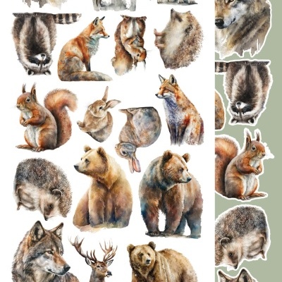 Ilustrações de animais selvagens em várias cores naturais num fundo branco e verde.