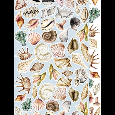 Padrão de várias conchas do mar coloridas em fundo azul claro