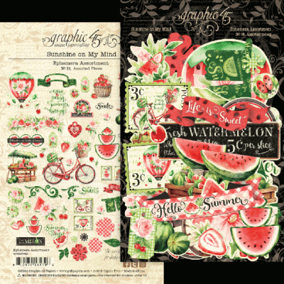Papel decorativo para scrapbooking com motivos de melancia, bicicleta e flores coloridas
